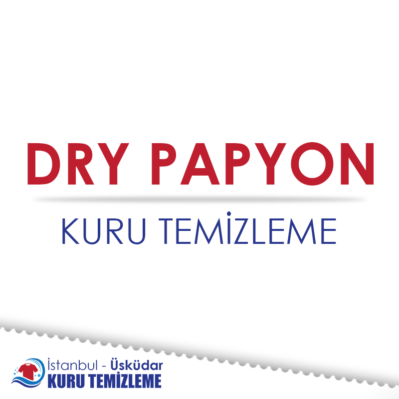 Dry Papyon Profil Görseli