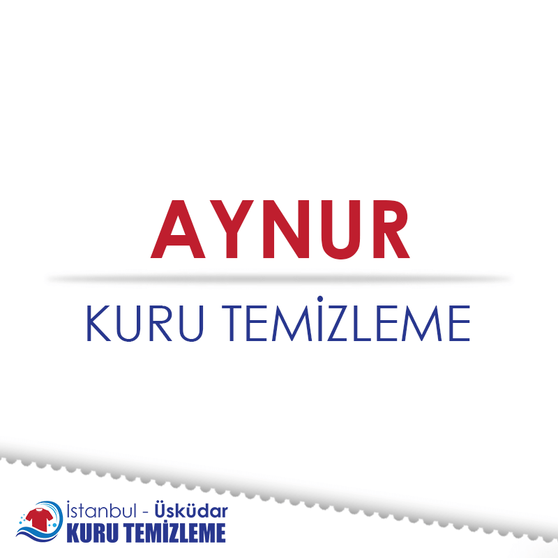 Aynur Kuru Temizleme : Kapak Görseli